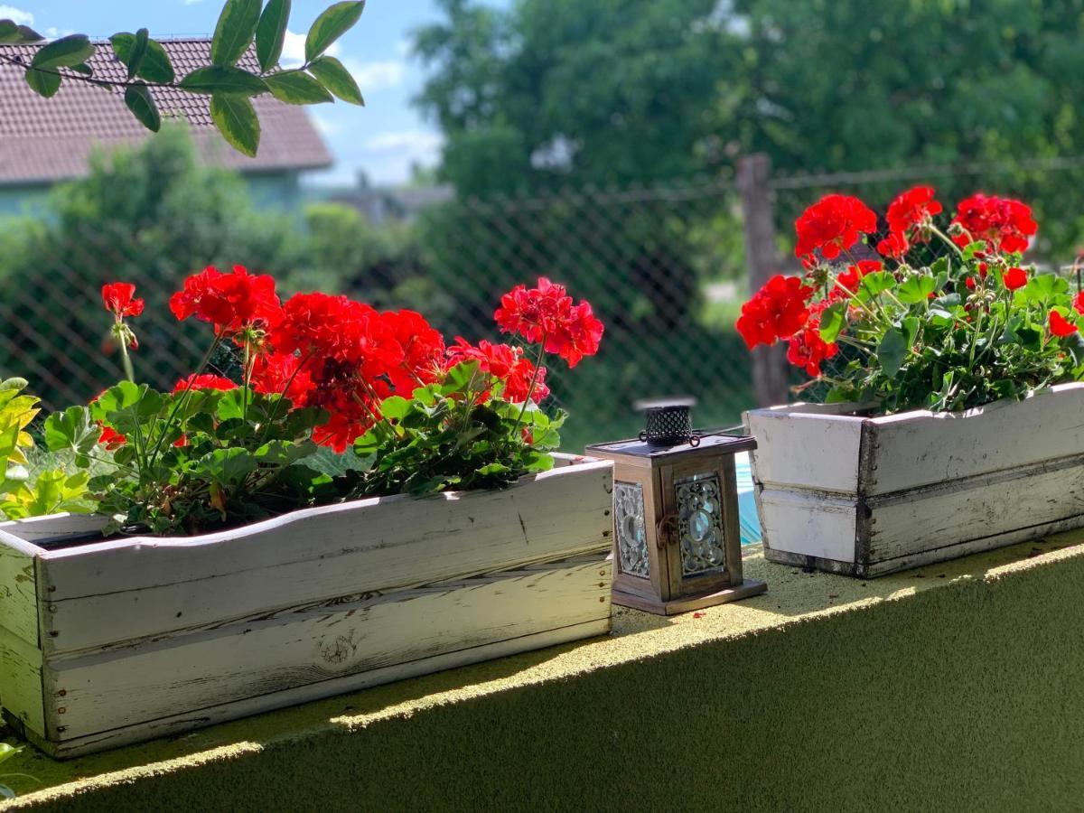 Apartmany Zeleny Dom Podhajska Bagian luar foto